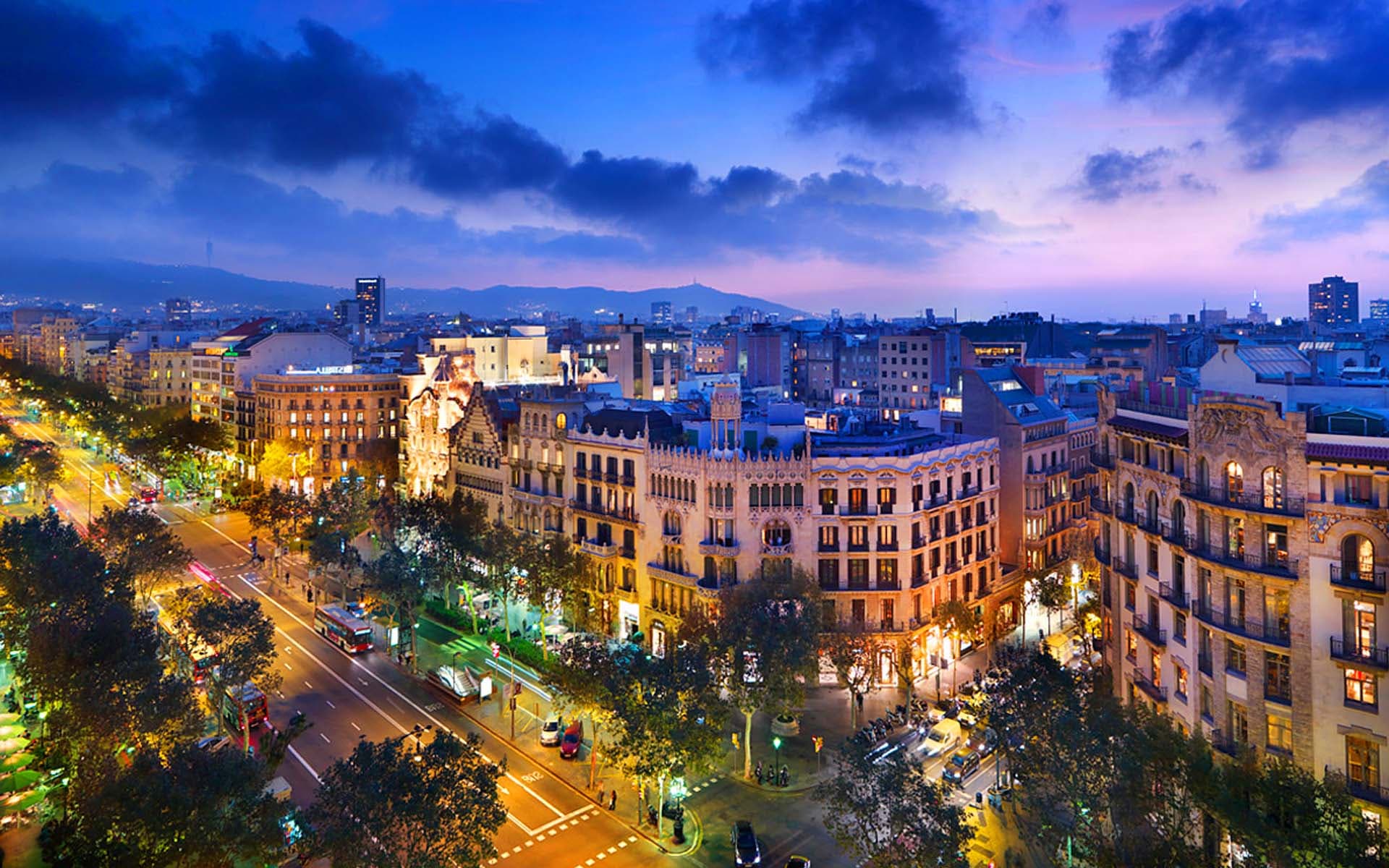 BCN / OFFICE