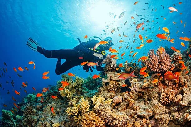 Buceo PR Expertise
